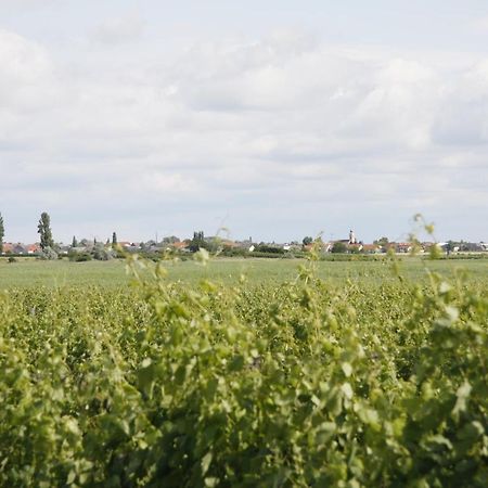 Pension & Weingut Storchenblick Illmitz Zewnętrze zdjęcie