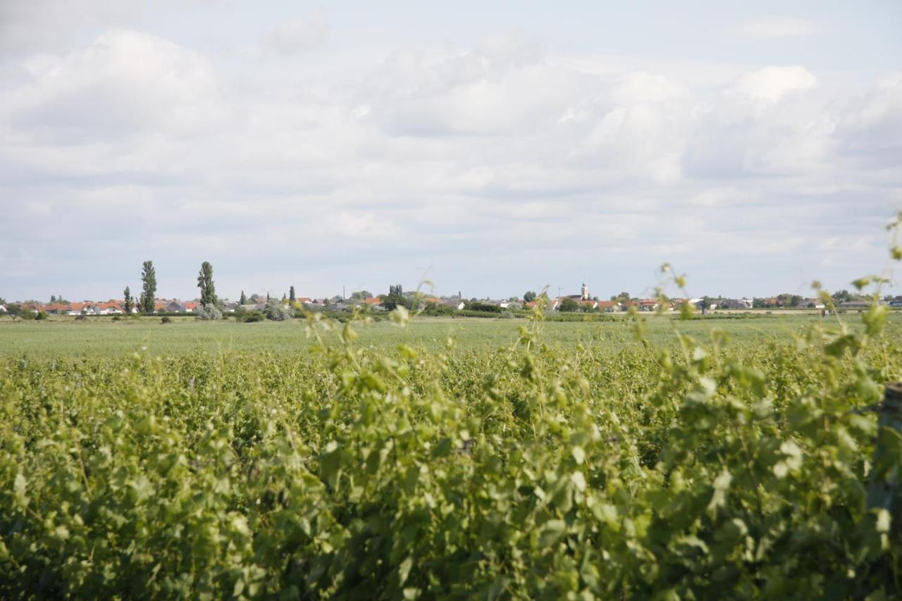 Pension & Weingut Storchenblick Illmitz Zewnętrze zdjęcie
